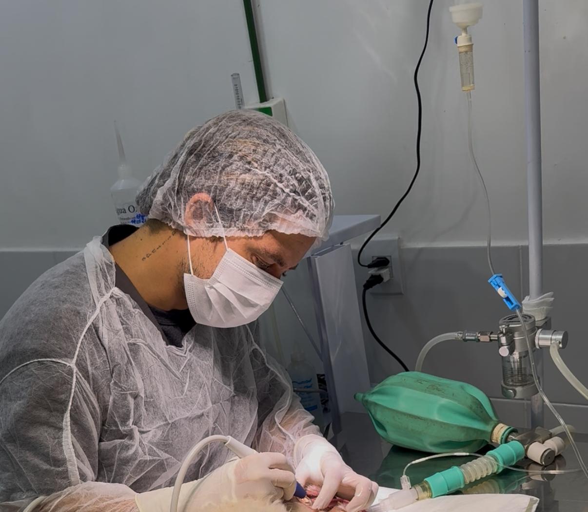 Procedimento no centro cirúrgico veterinário da Luar Vet com anestesia e monitoramento